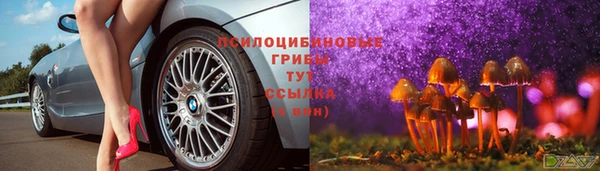 гашик Михайловск