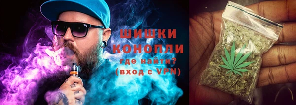 гашик Михайловск