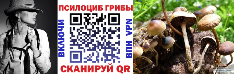 Галлюциногенные грибы GOLDEN TEACHER Арзамас