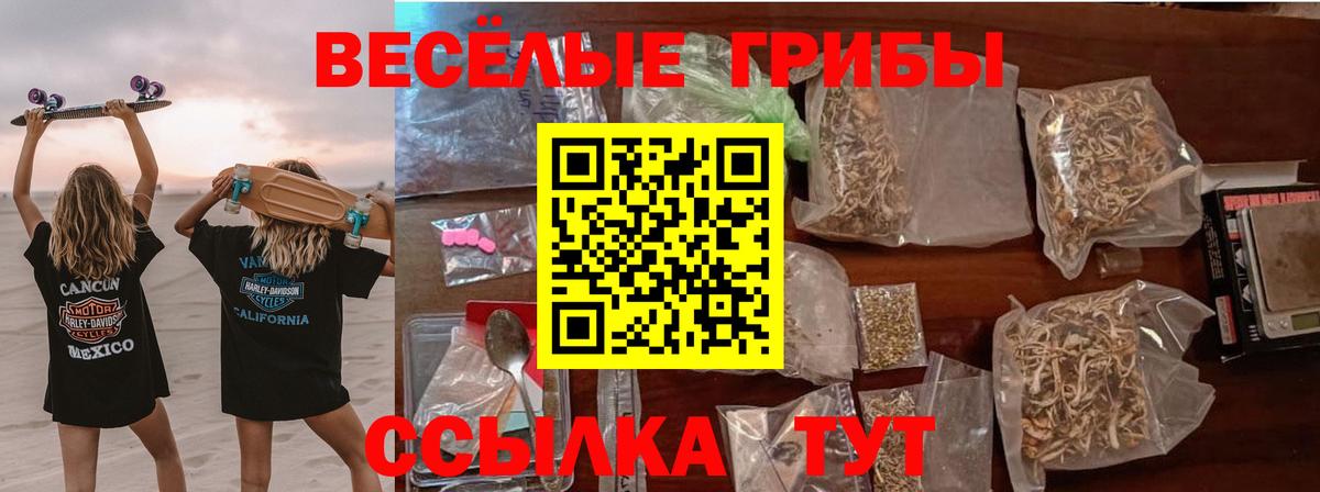 Арзамас  Псилоцибиновые грибы мицелий  Вход с VPN  Псилоцибиновые грибы MAGIC MUSHROOMS 